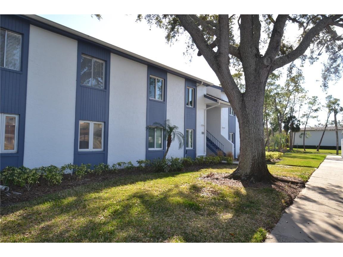 256 Cypress Lane Oldsmar FL 34677 TB8417068 image28