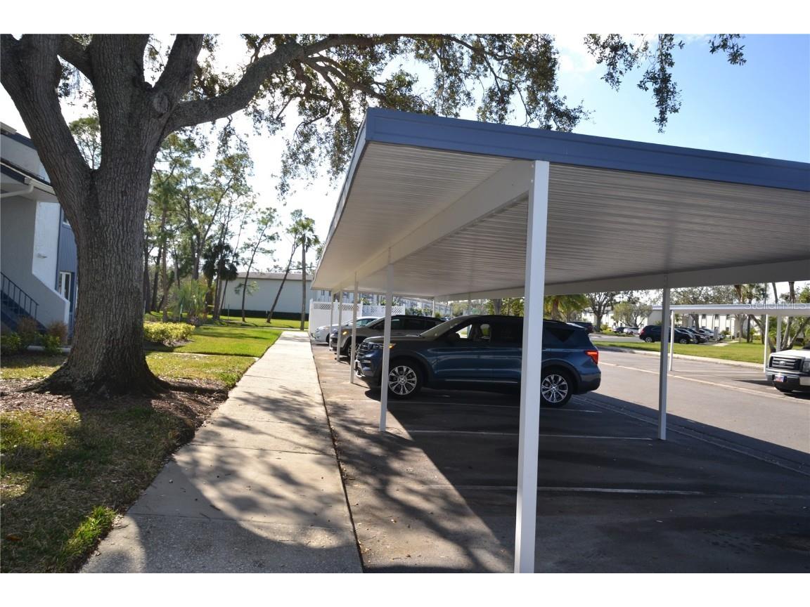 256 Cypress Lane Oldsmar FL 34677 TB8417068 image30