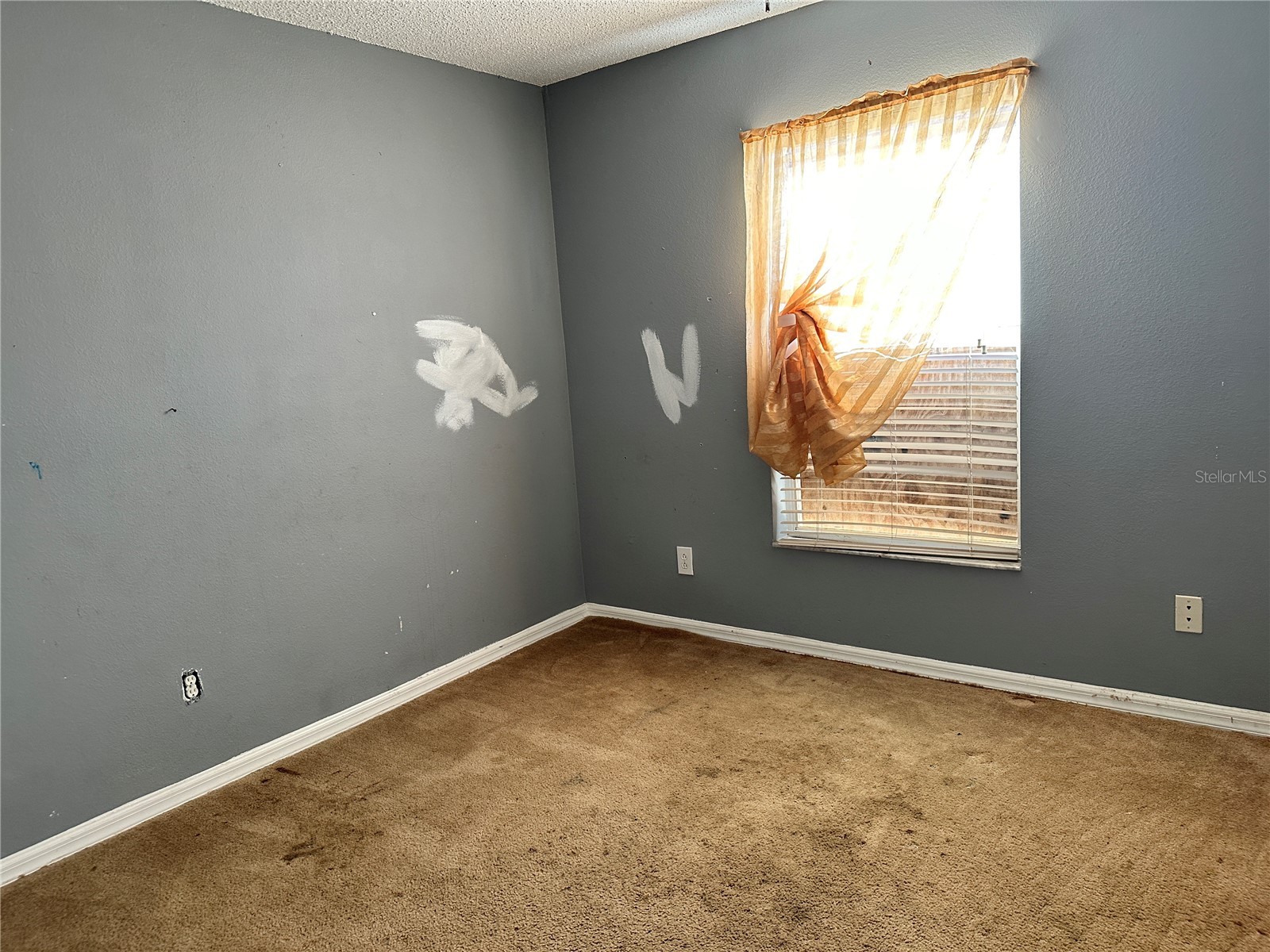 256 Grouper Court Kissimmee FL 34759 L4959001 image12