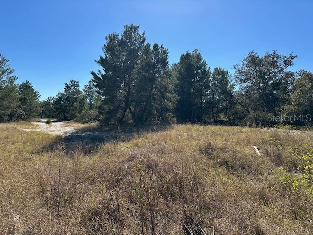 256 Hibiscus Lane Kissimmee FL 34759 P4932892 image1