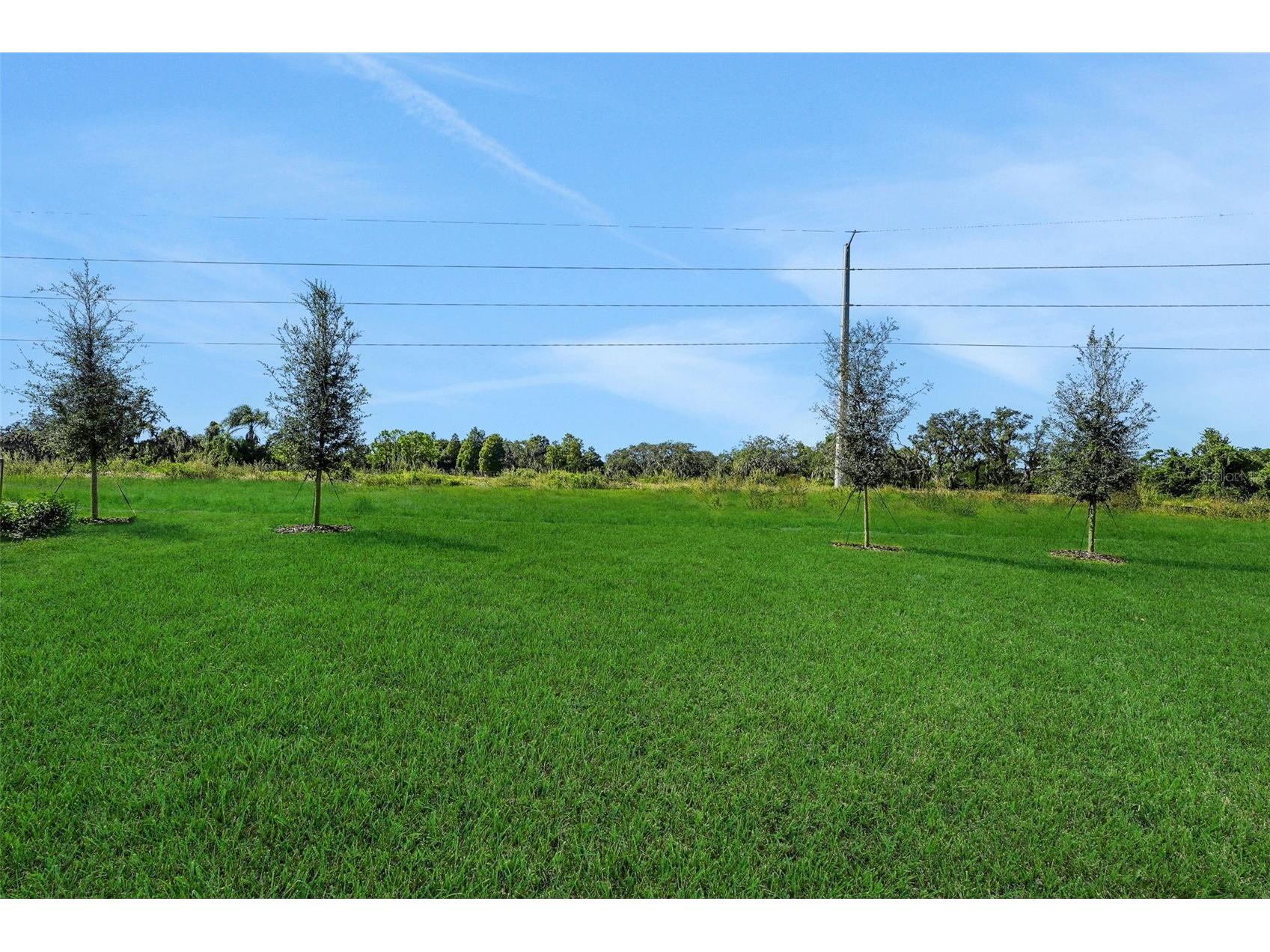 256 Meredith Boulevard Winter Haven FL 33881 G5111558 image5