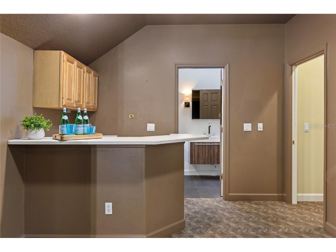 256 New Gate Loop Lake Mary FL 32746 O6245690 image40