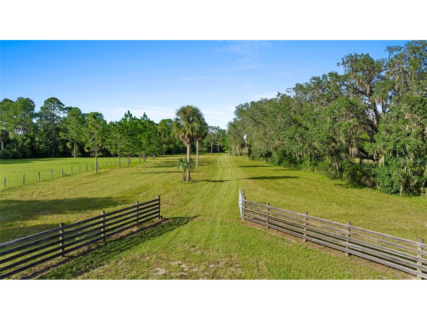 256 Purdom Cemetary Road Pierson FL 32180 V4934626 image1