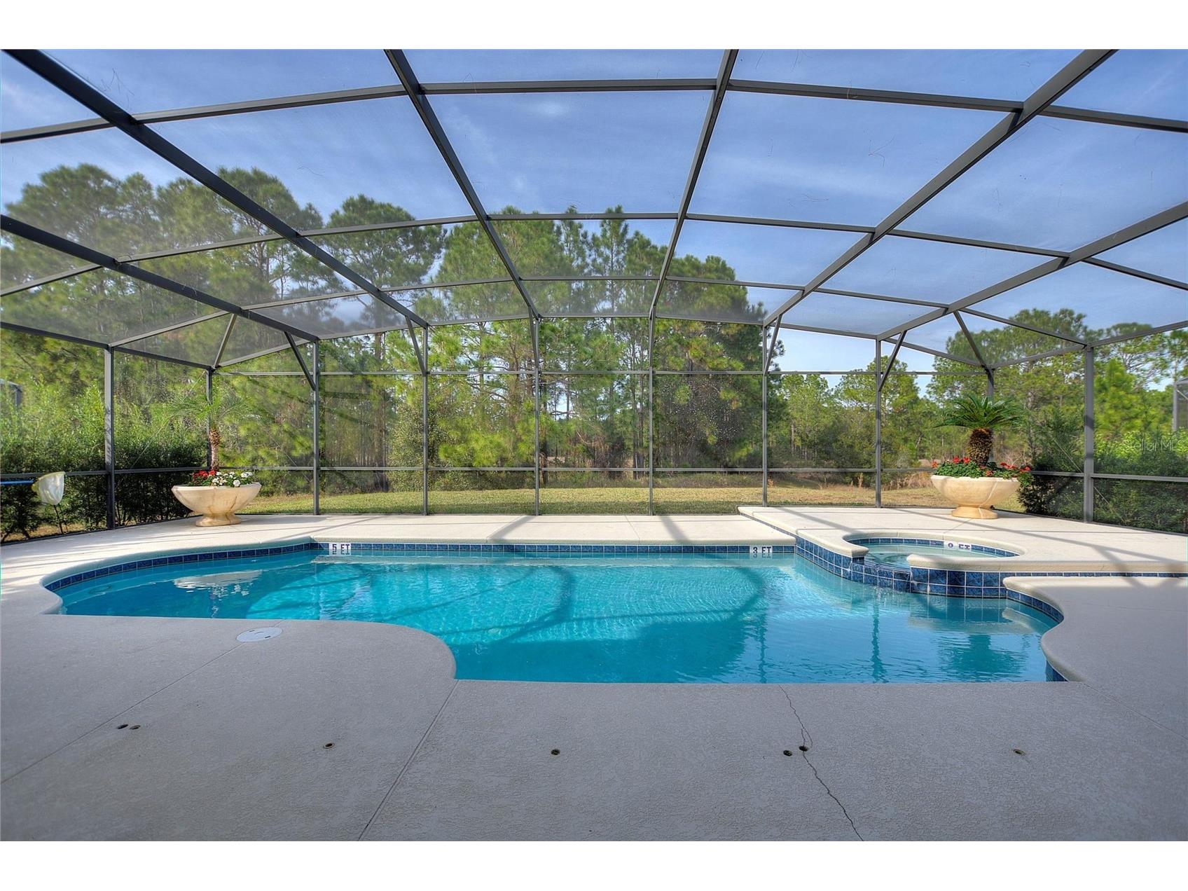 256 Yellow Snapdragon Drive Davenport FL 33837 G5106877 image49