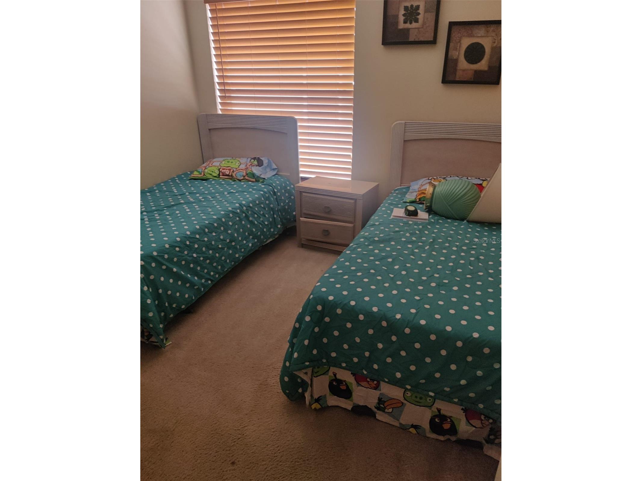 2560 Bear Creek Court Kissimmee FL 34747 TB8392992 image27