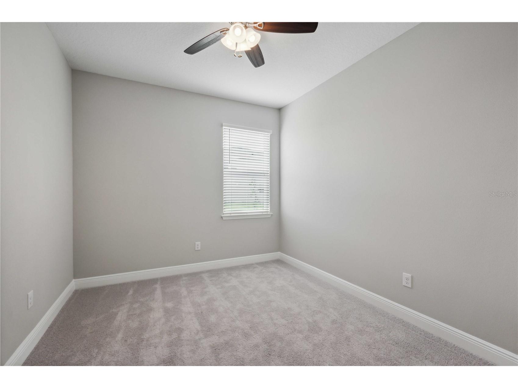 2560 Warren Acres Boulevard Wesley Chapel FL 33543 TB8514433 image14