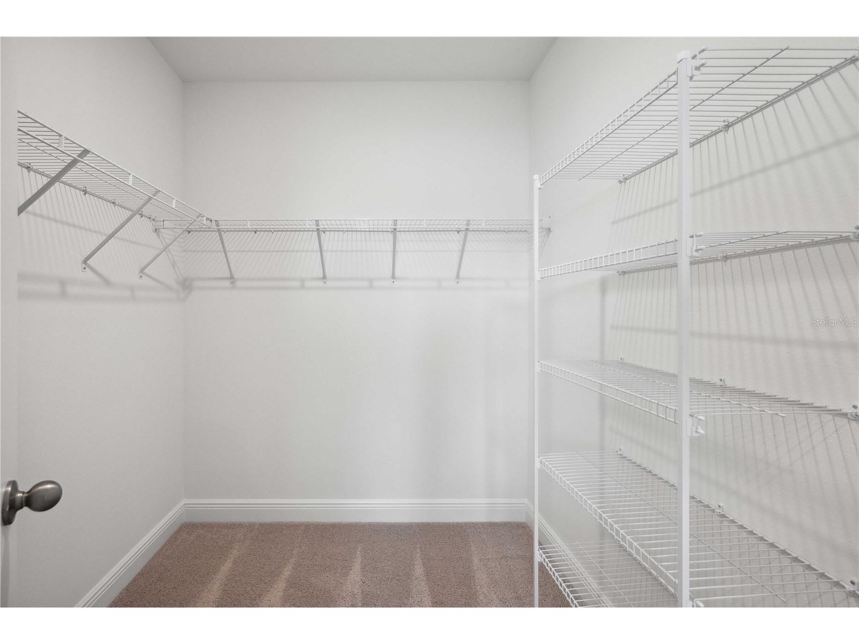 2560 Warren Acres Boulevard Wesley Chapel FL 33543 TB8514433 image23