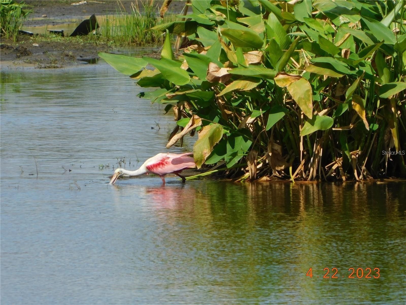 25601 Heritage Lake Boulevard #46 Punta Gorda FL 33983 C7522230 image63