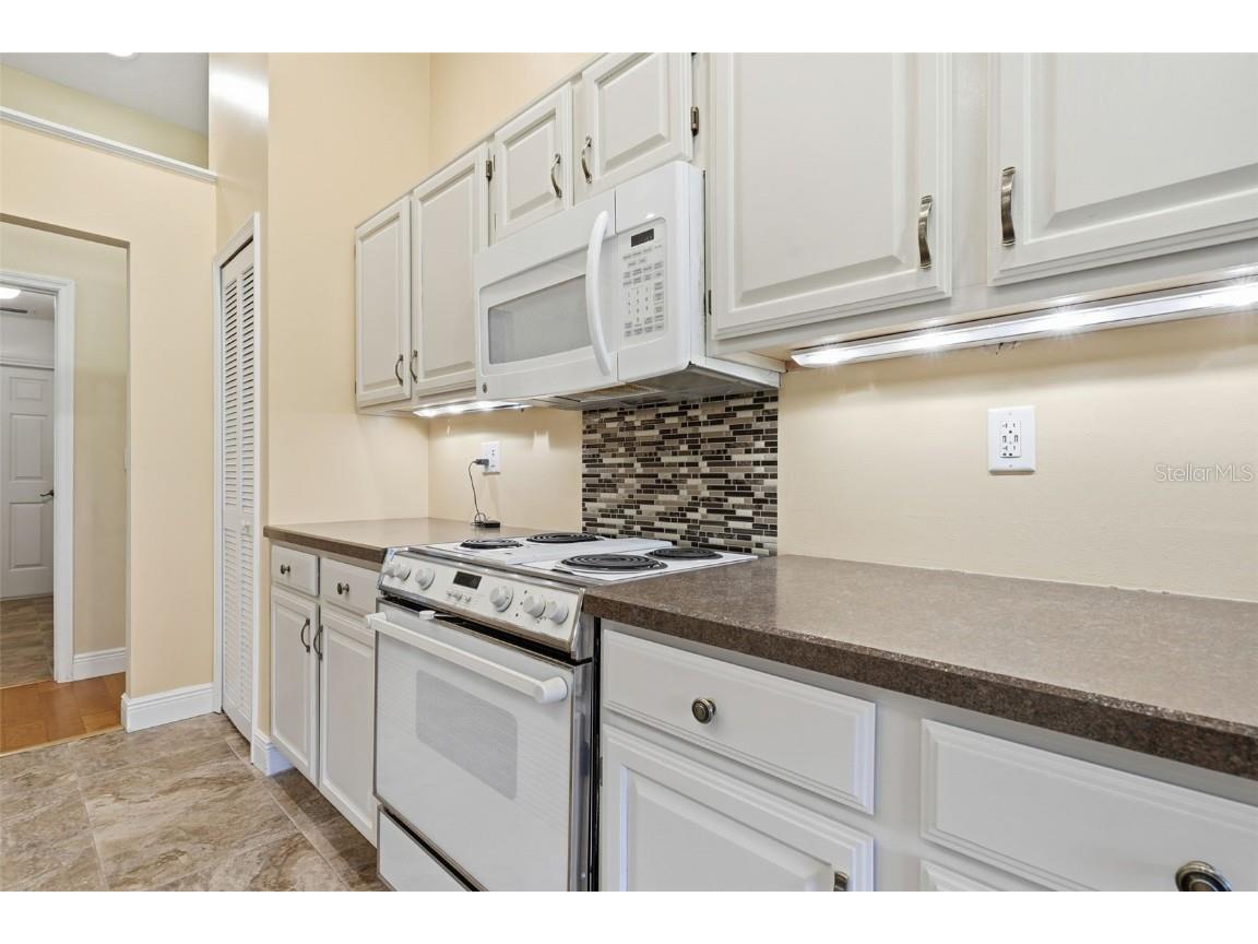 25603 Troon Avenue Sorrento FL 32776 G5100915 image11