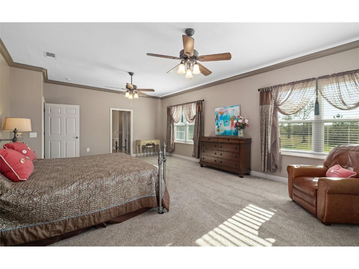 25605 69th Avenue E Myakka City FL 34251 A4640107 image18