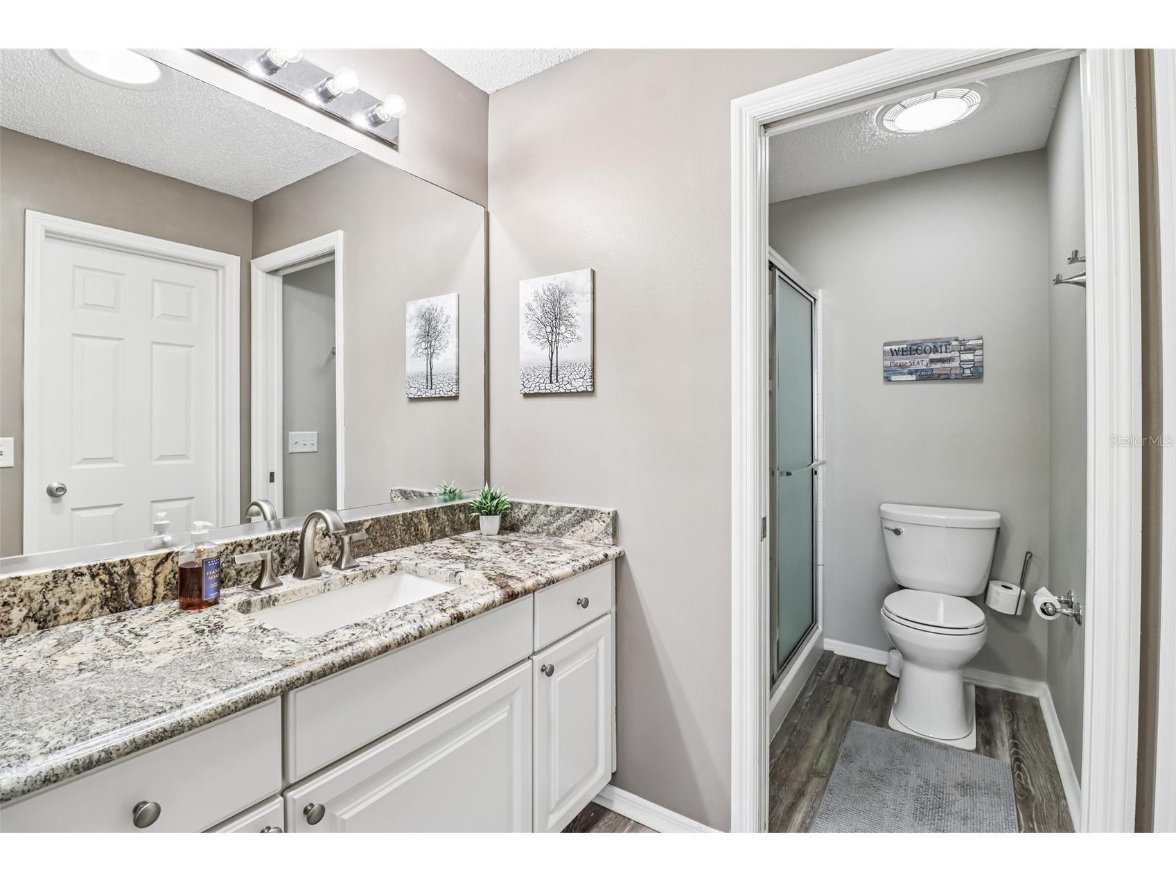 2561 Birch Avenue The Villages FL 32162 G5112091 image19
