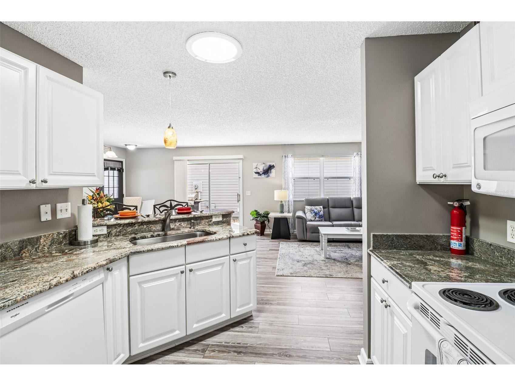 2561 Birch Avenue The Villages FL 32162 G5112091 image9