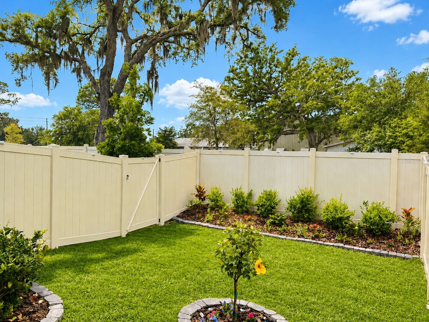 2561 Charlan Court Holiday FL 34690 TB8496060 image1