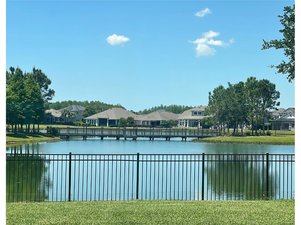 2561 Claymore Street Odessa FL 33556 T3527395 image1