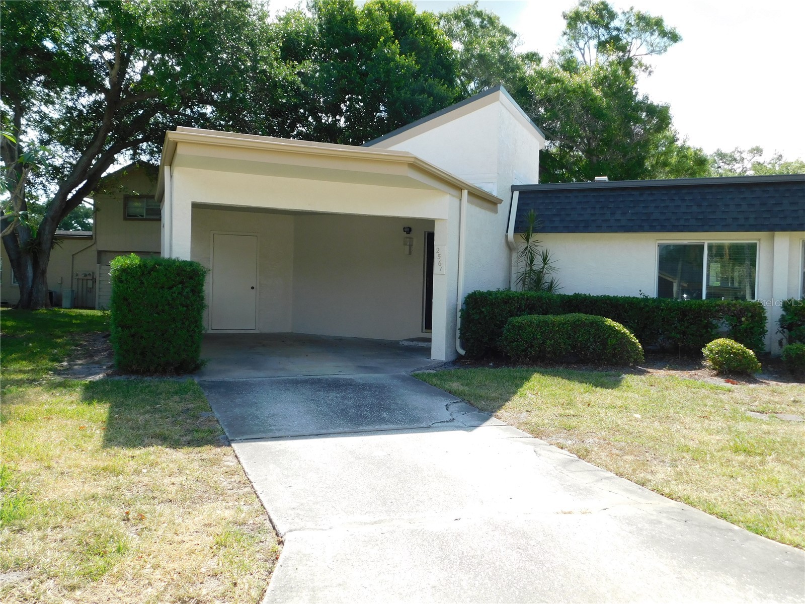 2561 Forest Run Court Clearwater FL 33761 TB8502102 image1