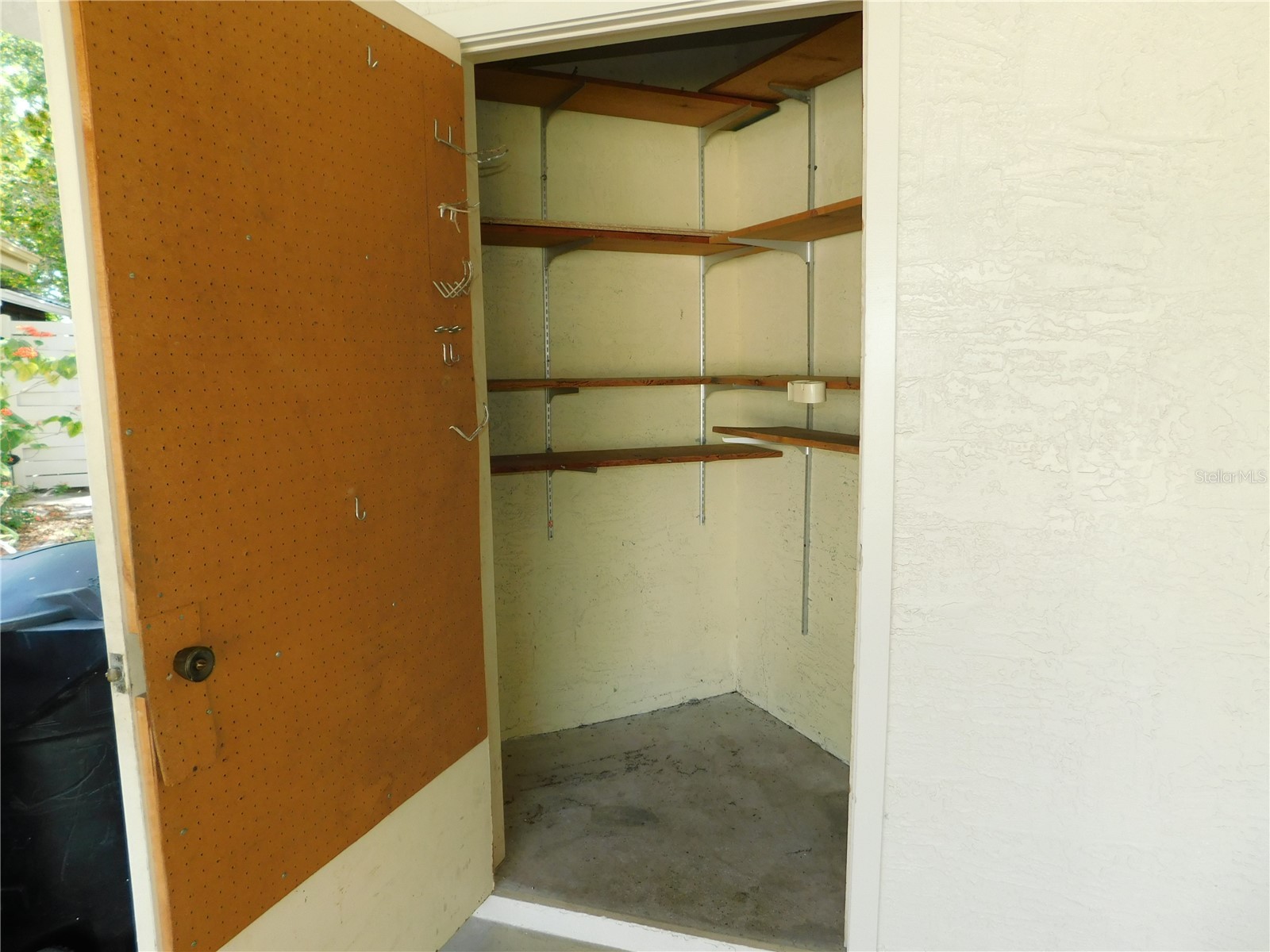 2561 Forest Run Court Clearwater FL 33761 TB8502102 image14