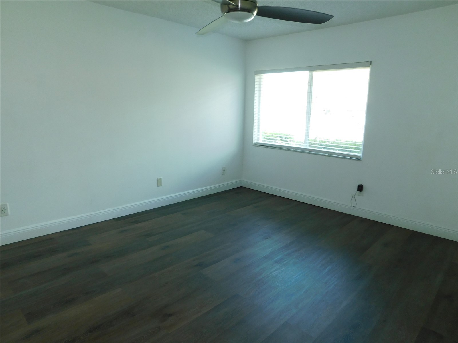 2561 Forest Run Court Clearwater FL 33761 TB8502102 image6