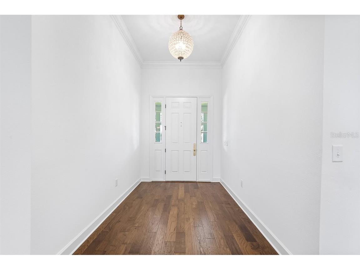 2561 Rogers Road Lakeland FL 33812 - LITTLE BANANA LAKE TB8430621 image11