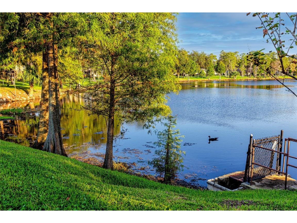 2561 Royal Pines Circle #14H Clearwater FL 33763 TB8448736 image4