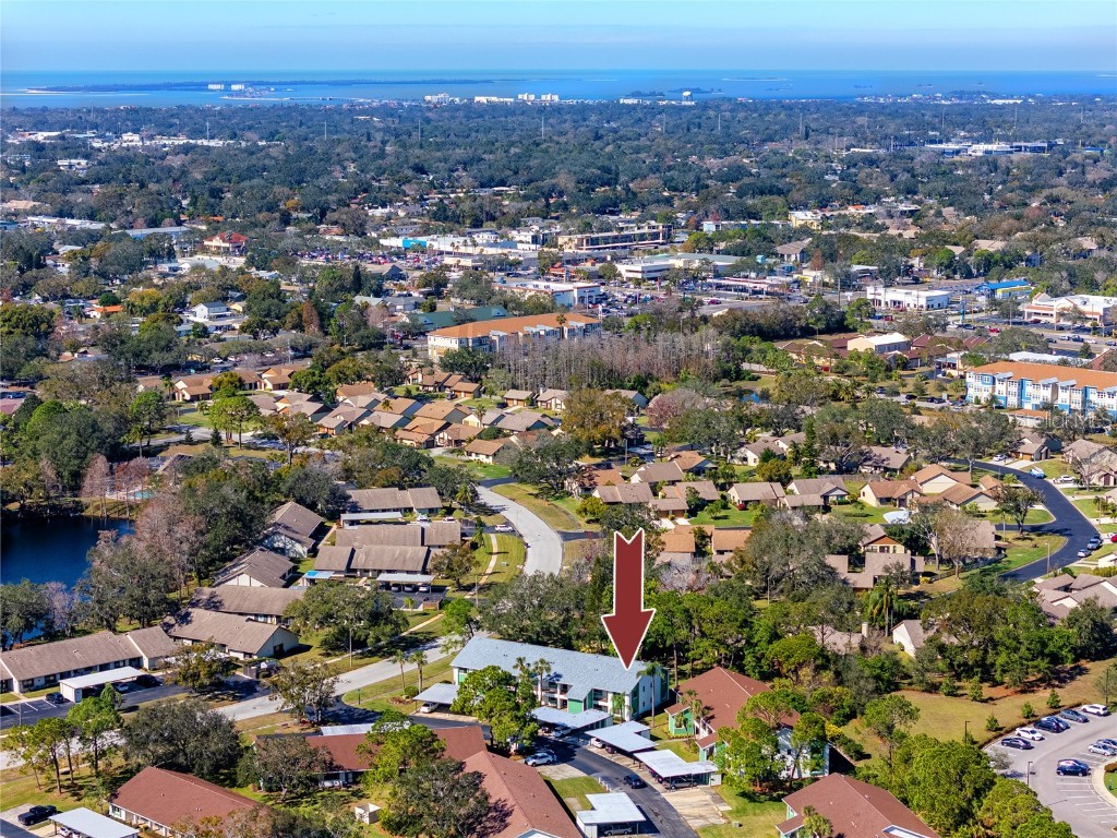 2561 Royal Pines Circle #14H Clearwater FL 33763 TB8448736 image44