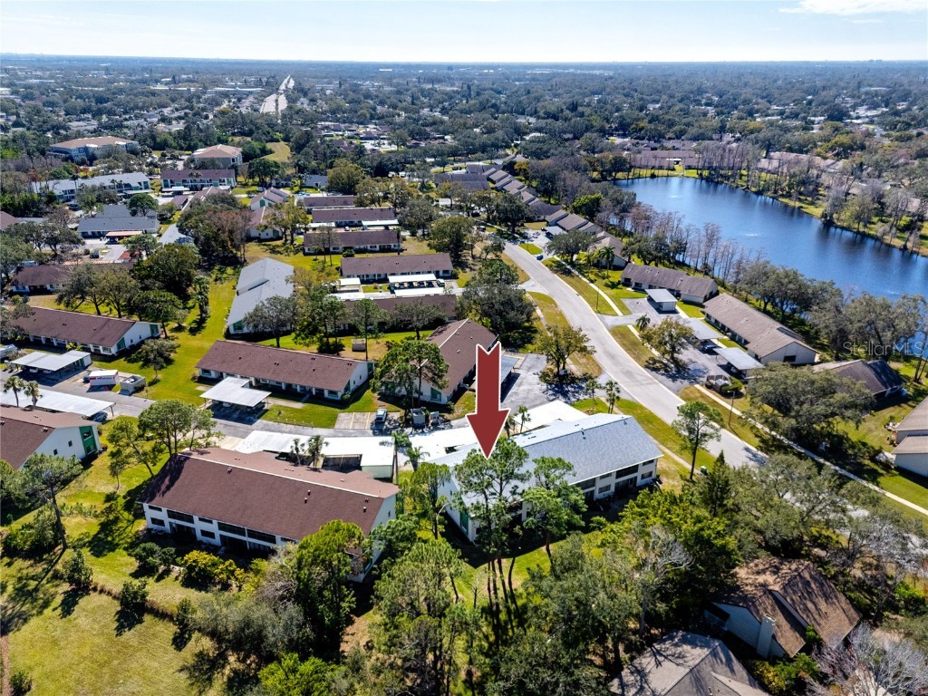 2561 Royal Pines Circle #14H Clearwater FL 33763 TB8448736 image47