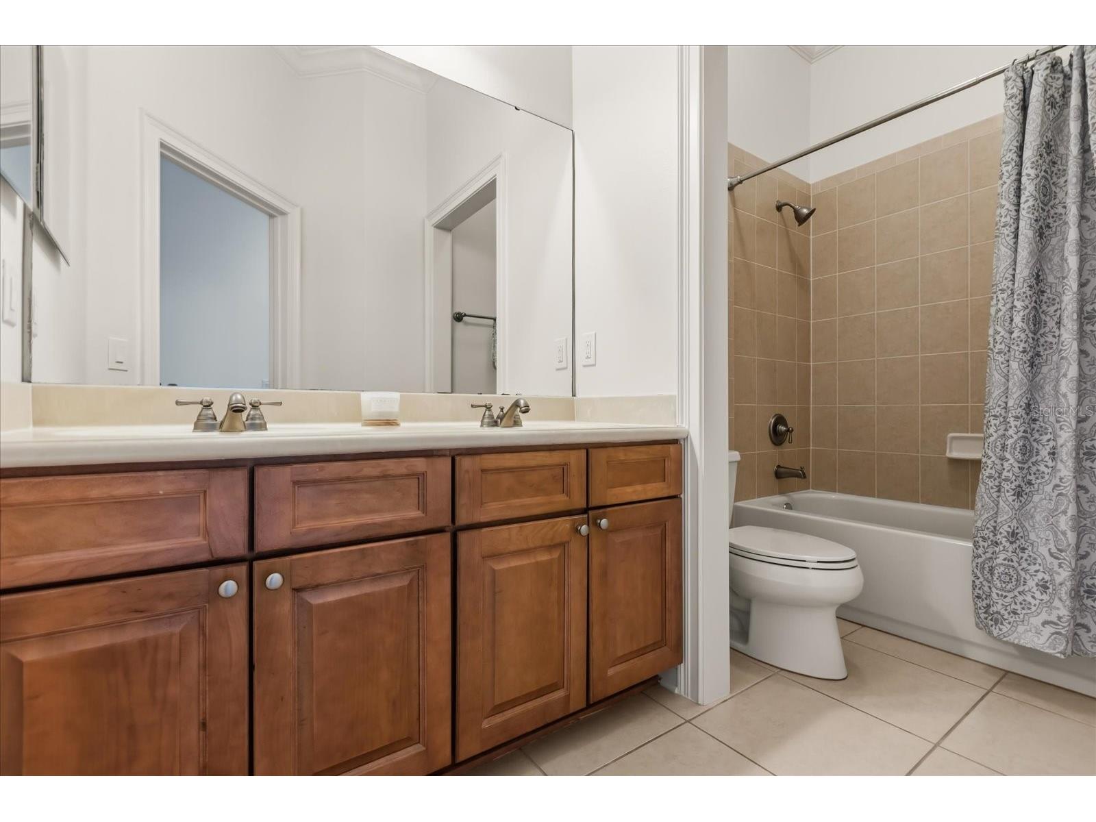 25612 Hawks Run Lane Sorrento FL 32776 O6367239 image21