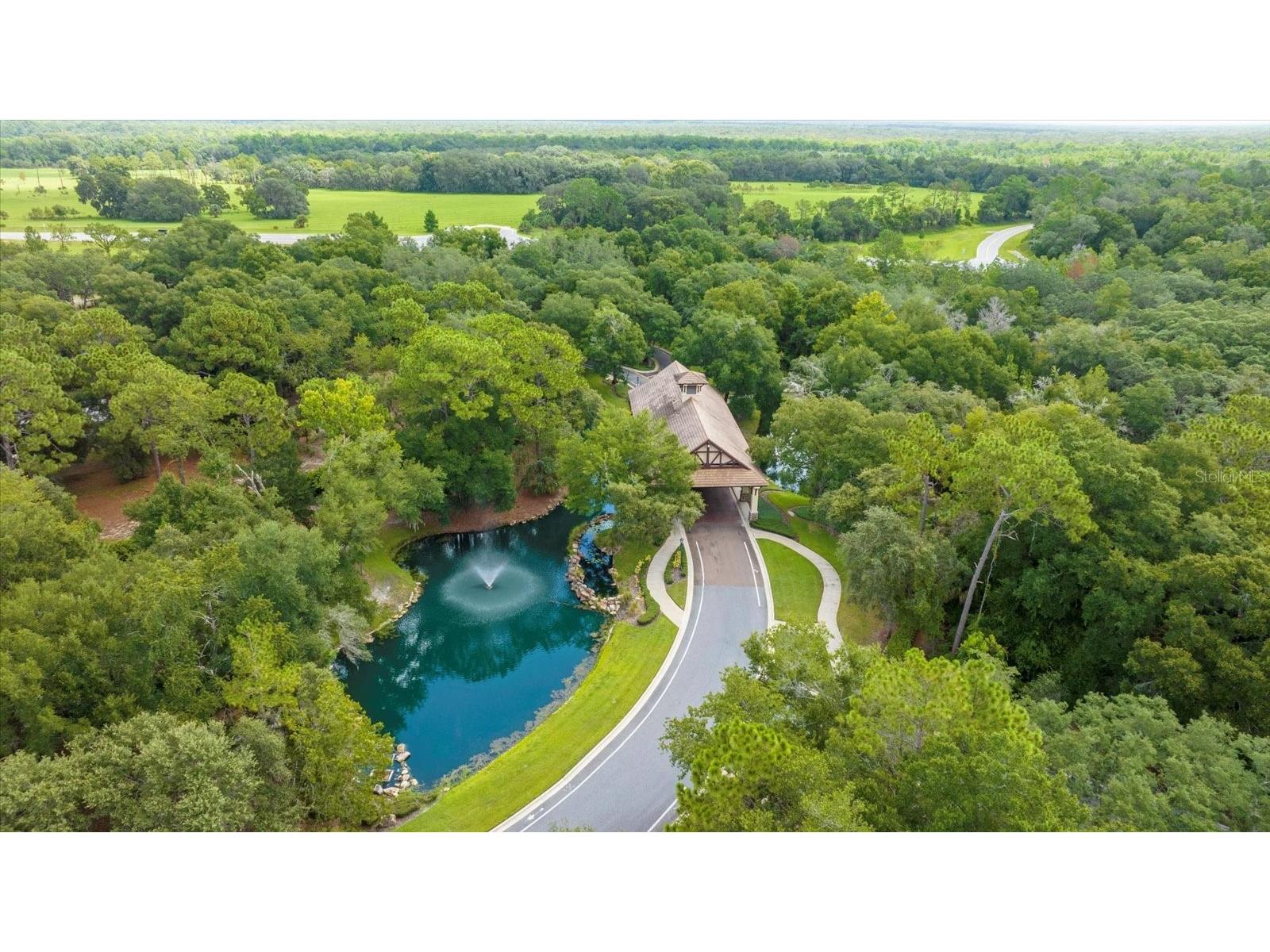 25612 Hawks Run Lane Sorrento FL 32776 O6367239 image36