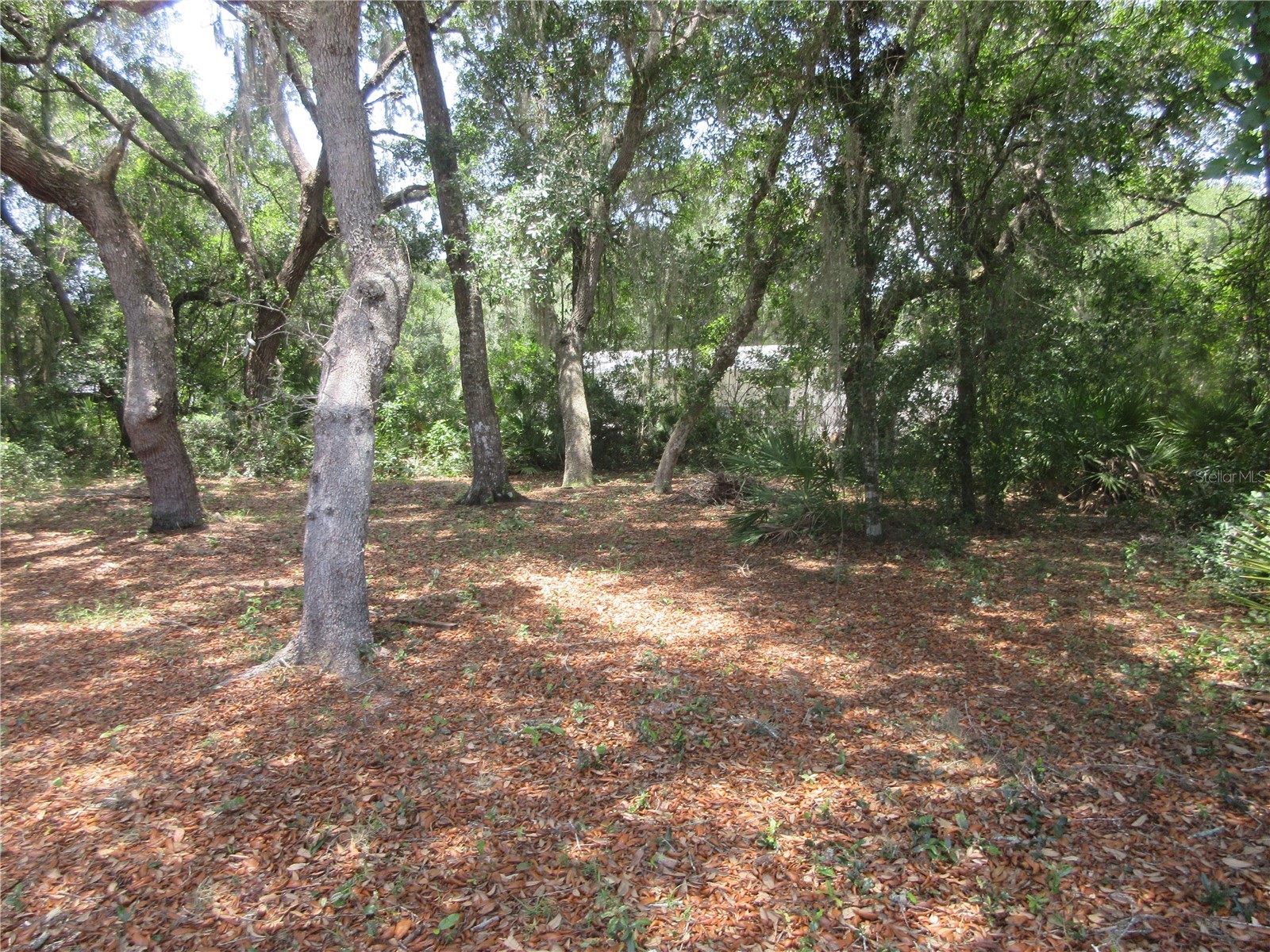 2562 SE 178th Avenue Silver Springs FL 34488 OM725914 image19