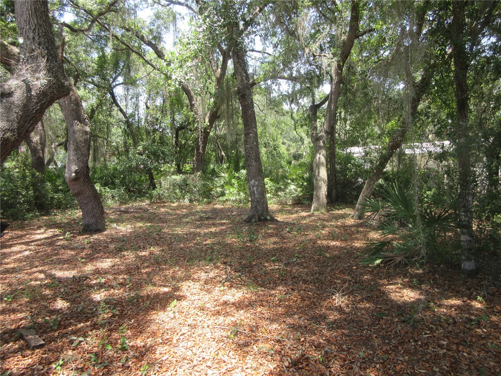 2562 SE 178th Avenue Silver Springs FL 34488 OM725914 image21