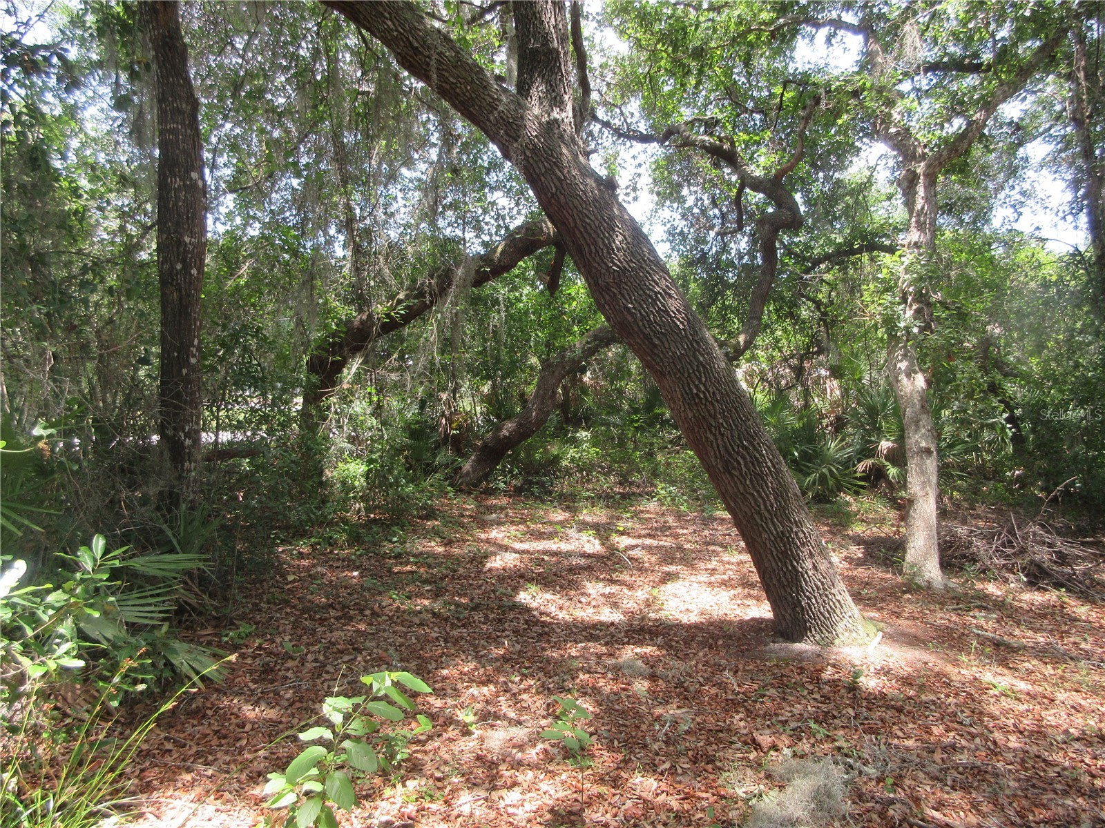 2562 SE 178th Avenue Silver Springs FL 34488 OM725914 image22