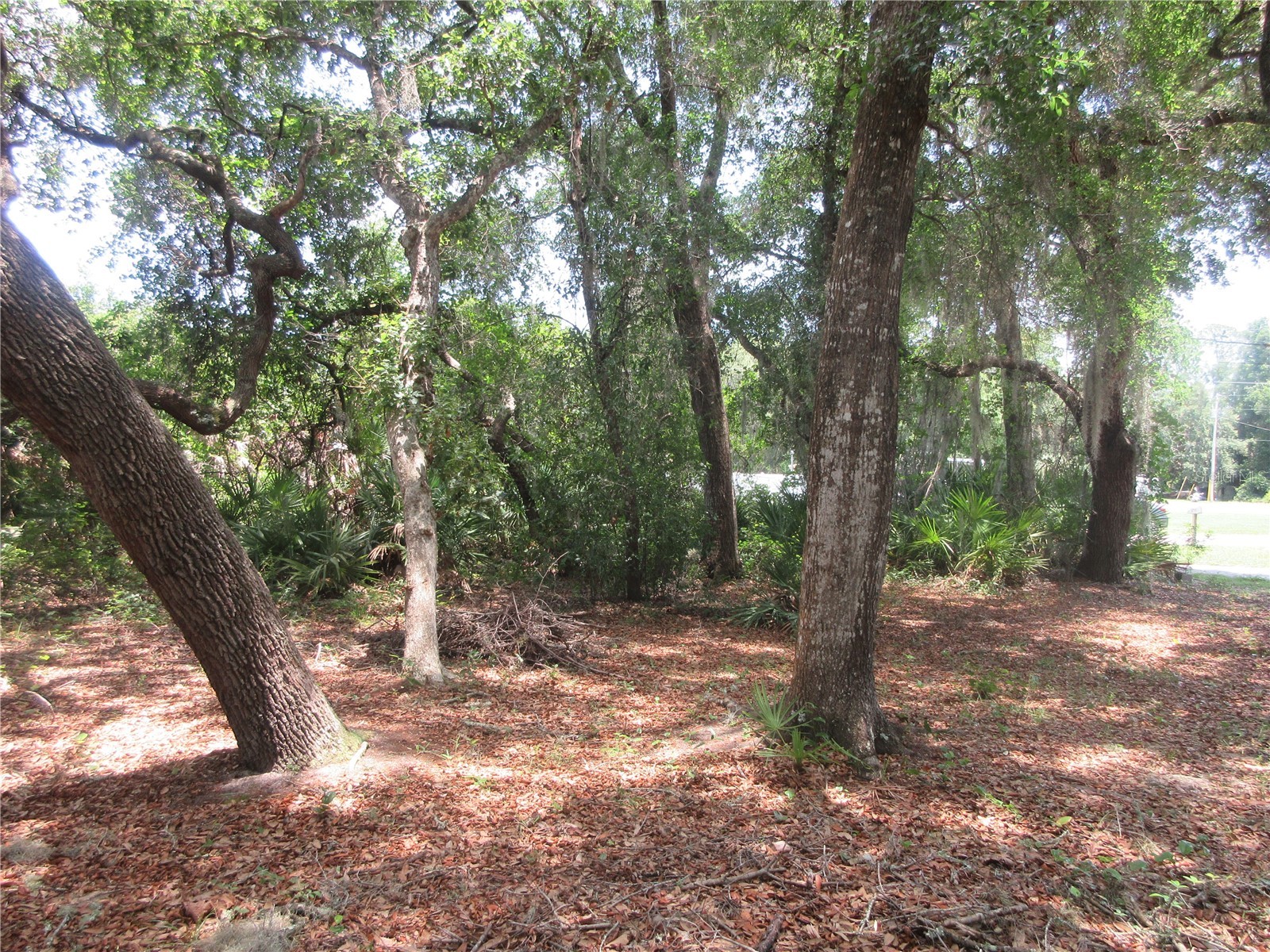 2562 SE 178th Avenue Silver Springs FL 34488 OM725914 image23