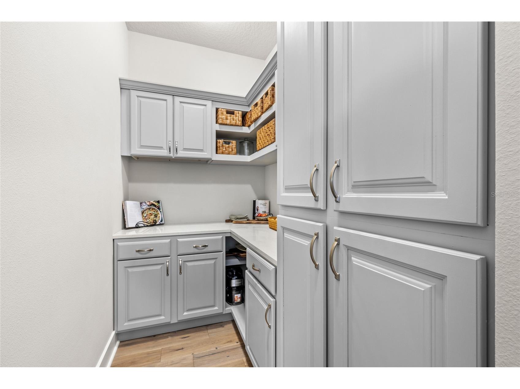 25620 Grandview Pointe Sorrento FL 32776 O6385306 image13