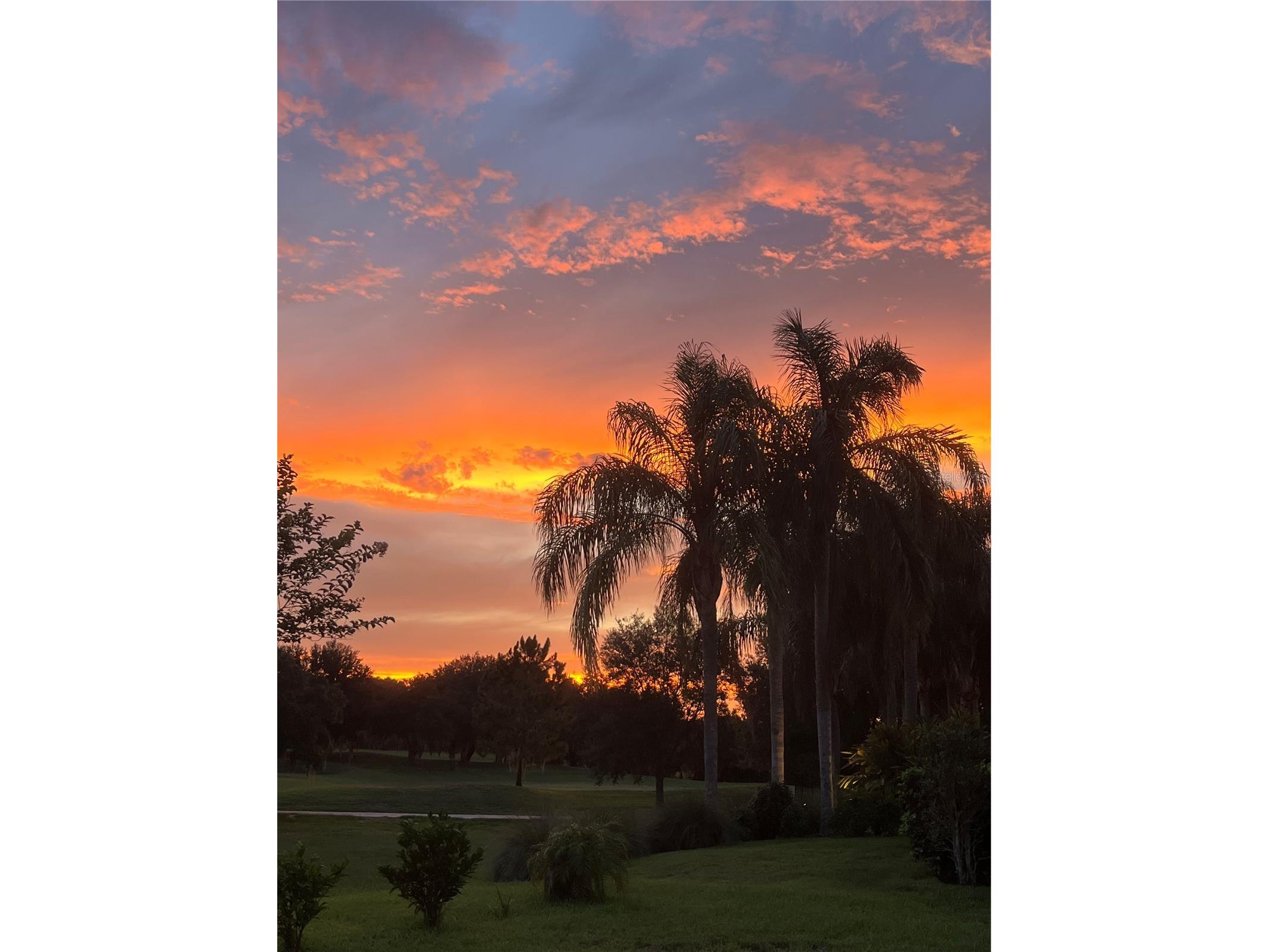 25620 Grandview Pointe Sorrento FL 32776 O6385306 image40