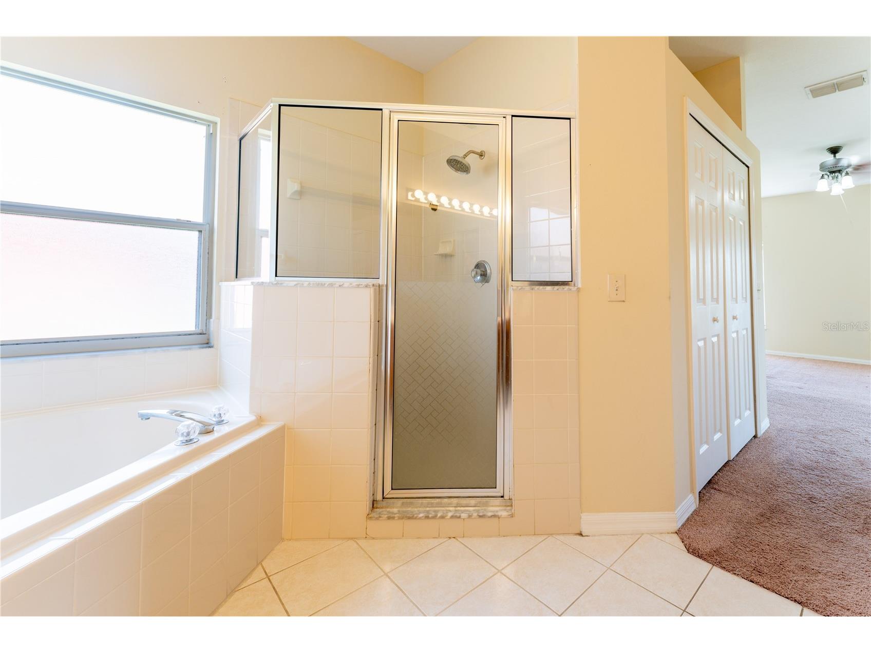 2563 Aster Cove Lane Kissimmee FL 34758 S5147077 image23