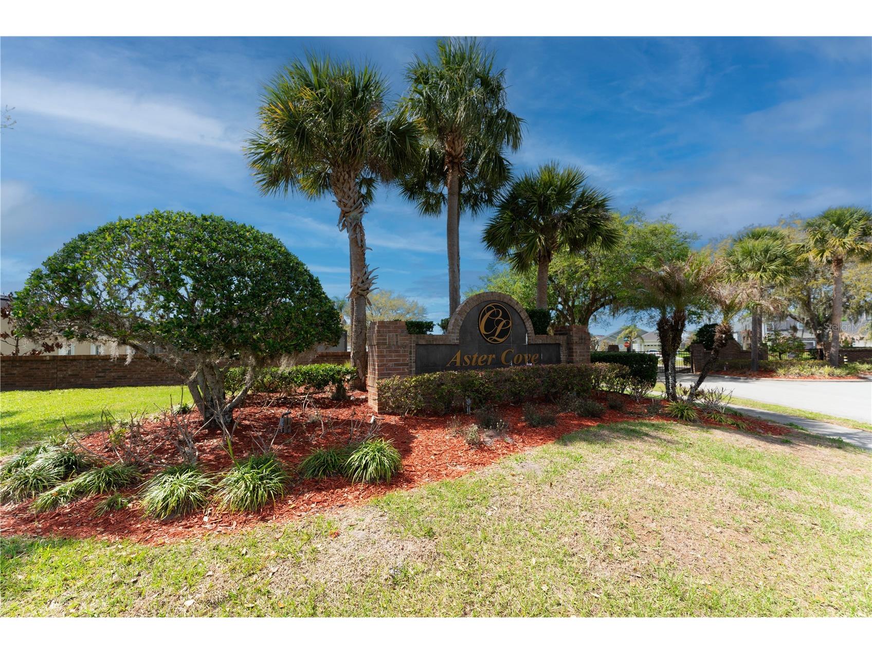 2563 Aster Cove Lane Kissimmee FL 34758 S5147077 image30