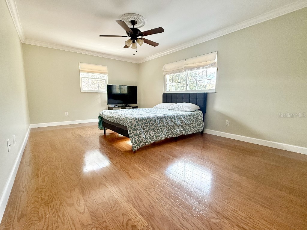 2563 Knotty Pine Way Clearwater FL 33761 TB8477008 image27