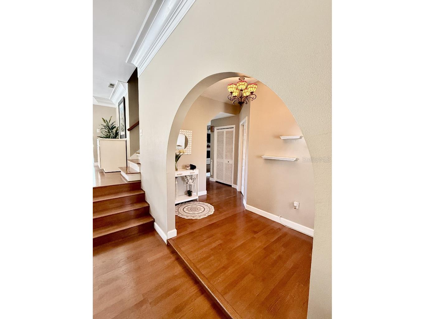 2563 Knotty Pine Way Clearwater FL 33761 TB8477008 image4