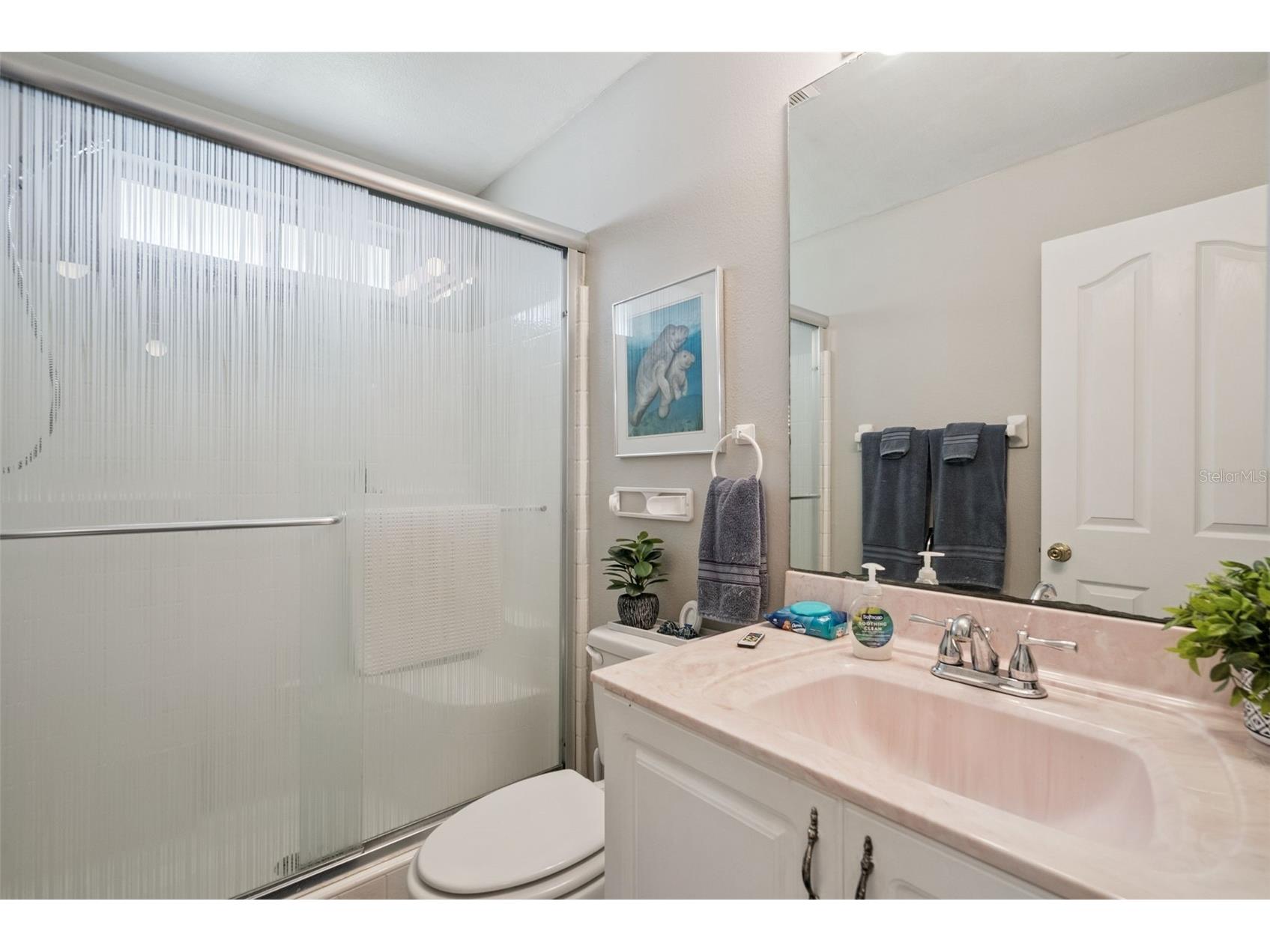 2563 Sheffield Drive Deltona FL 32738 S5150393 image9
