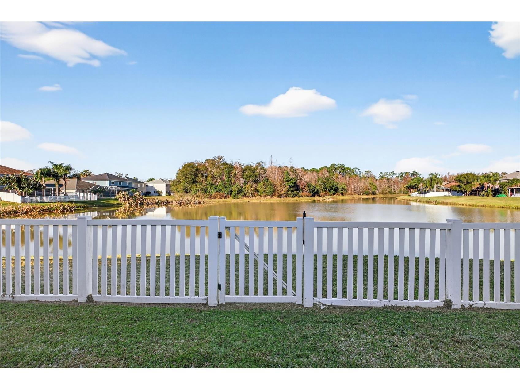 25631 Bruford Boulevard Land O Lakes FL 34639 TB8465711 image57