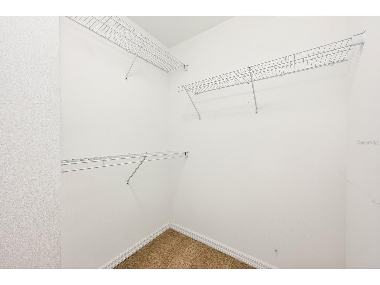 2564 Abey Blanco Drive Orlando FL 32828 O6364360 image19