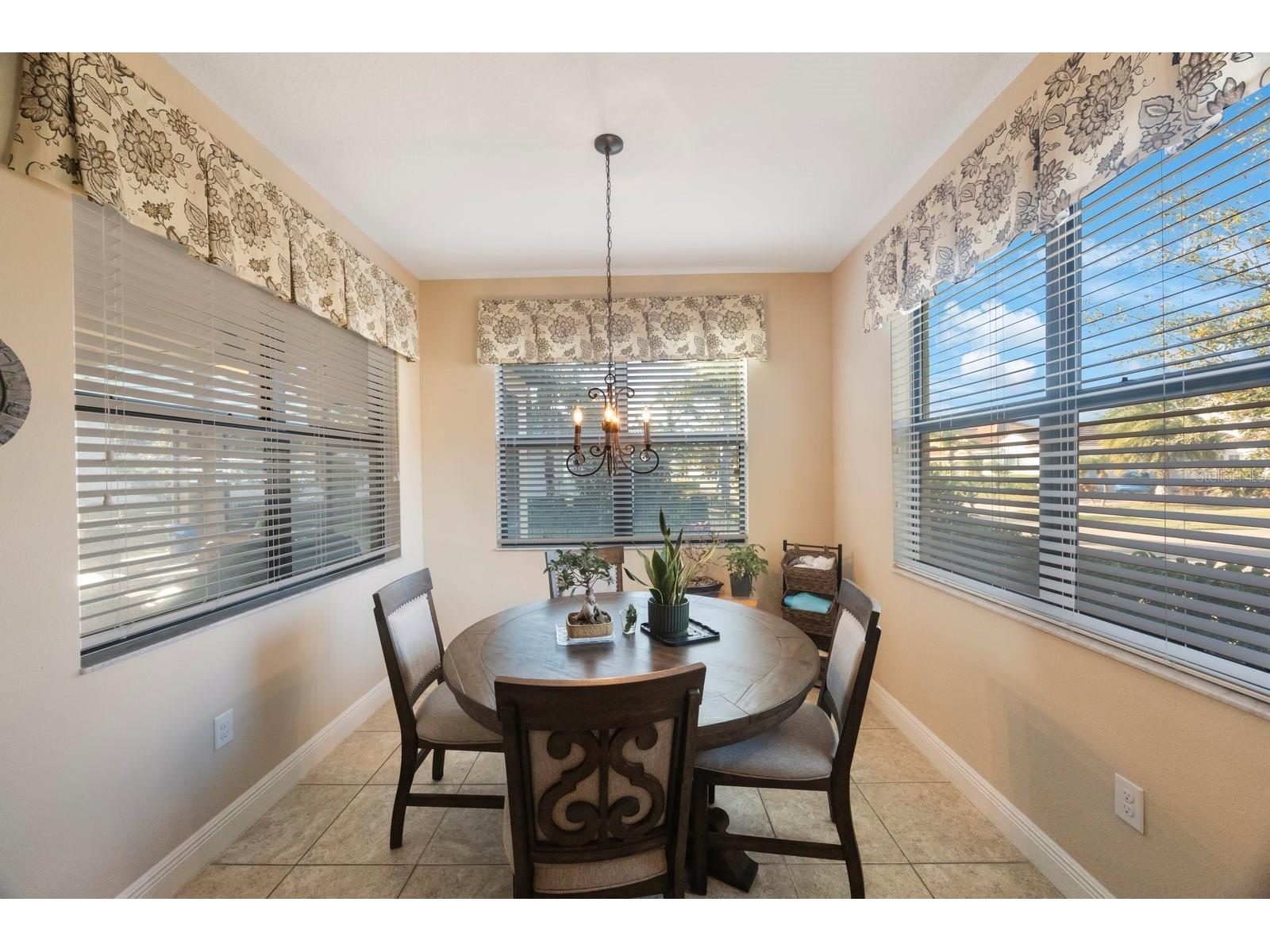 2564 Grand Cypress Boulevard Palm Harbor FL 34684 - LAKE TARPON TB8343321 image23