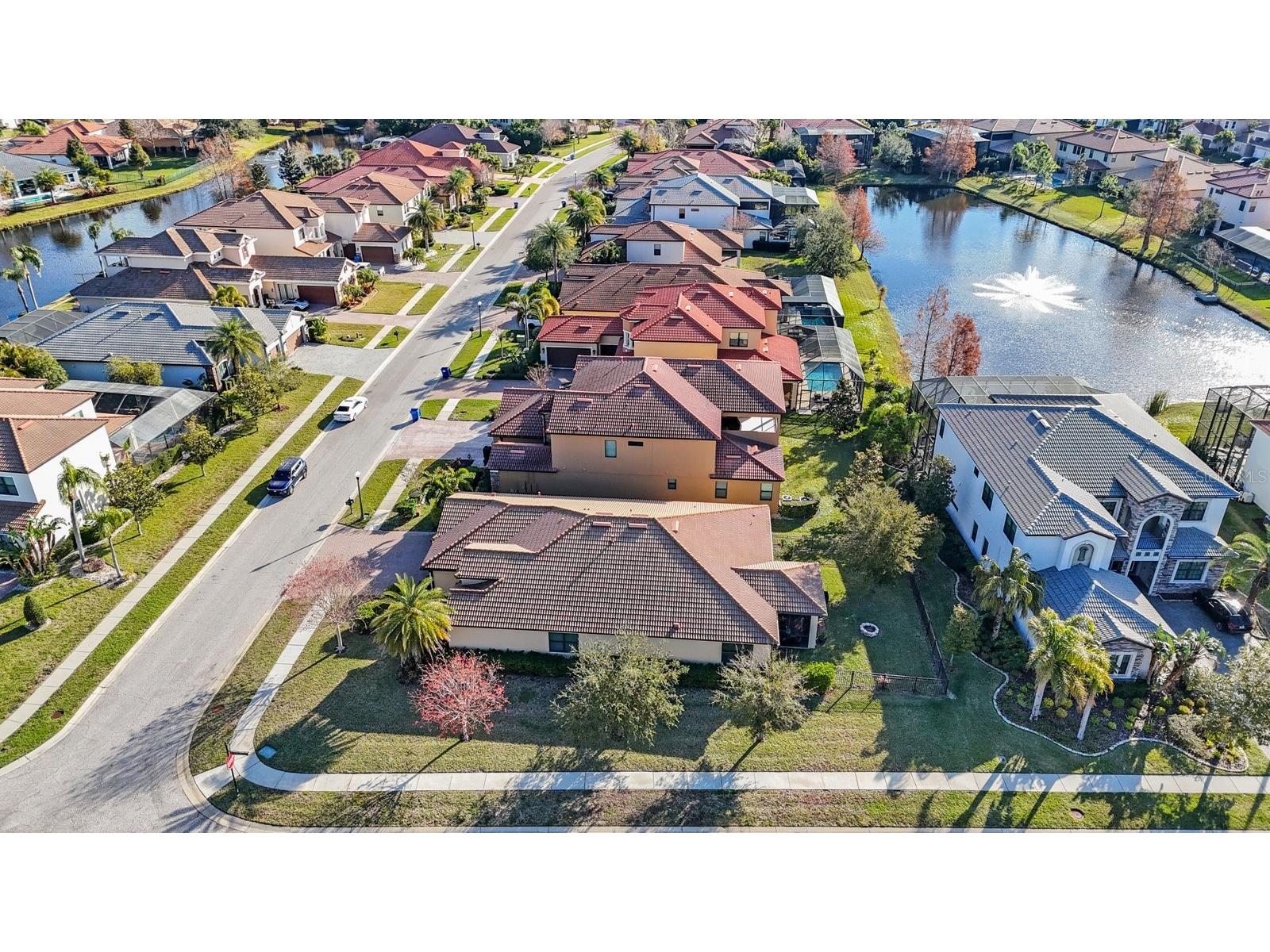 2564 Grand Cypress Boulevard Palm Harbor FL 34684 - LAKE TARPON TB8343321 image52