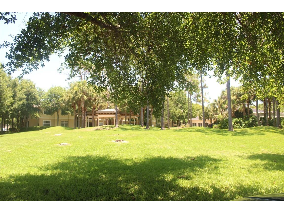 2564 Robert Trent Jones Drive #1310 Orlando FL 32835 O6370646 image15