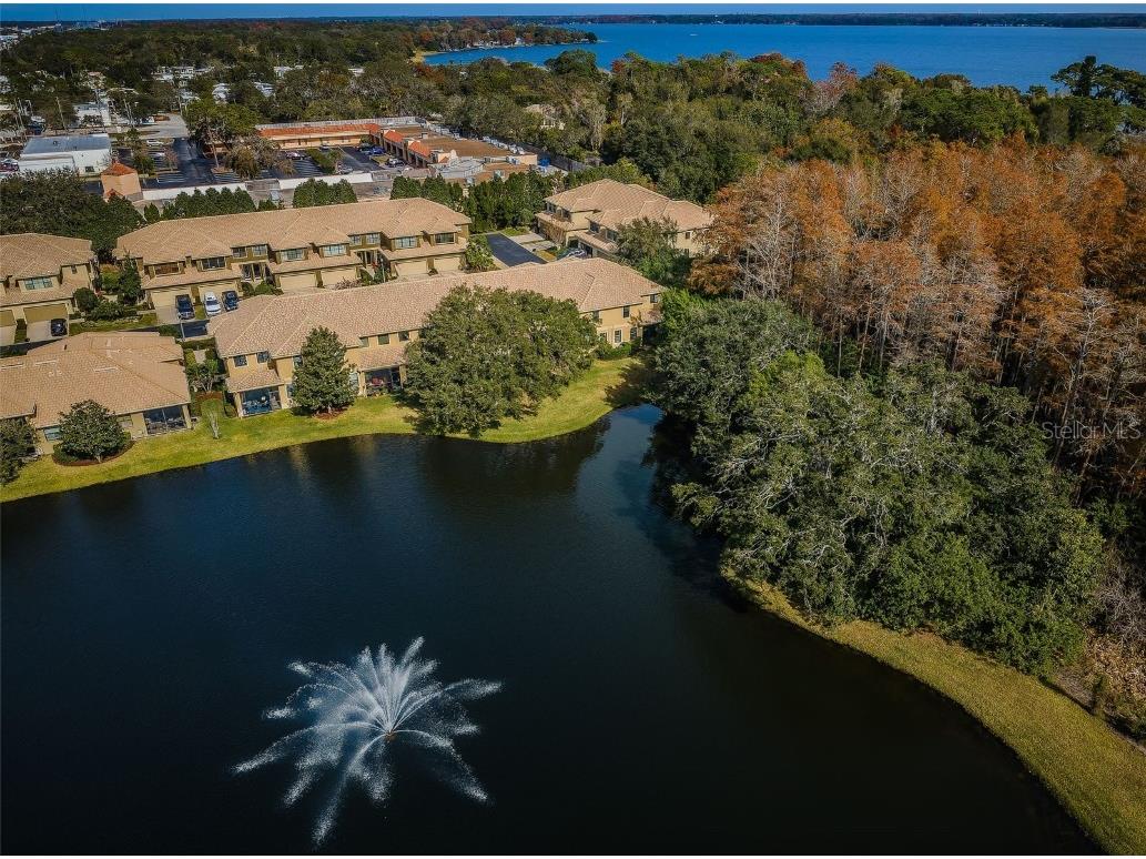 2564 Silverback Court Palm Harbor FL 34684 U8225753 image1