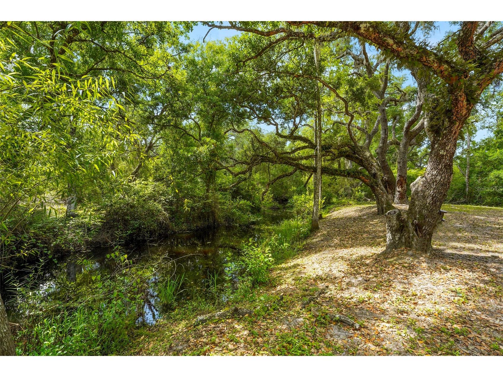 25640 State Road 70 E Myakka City FL 34251 A4688678 image12