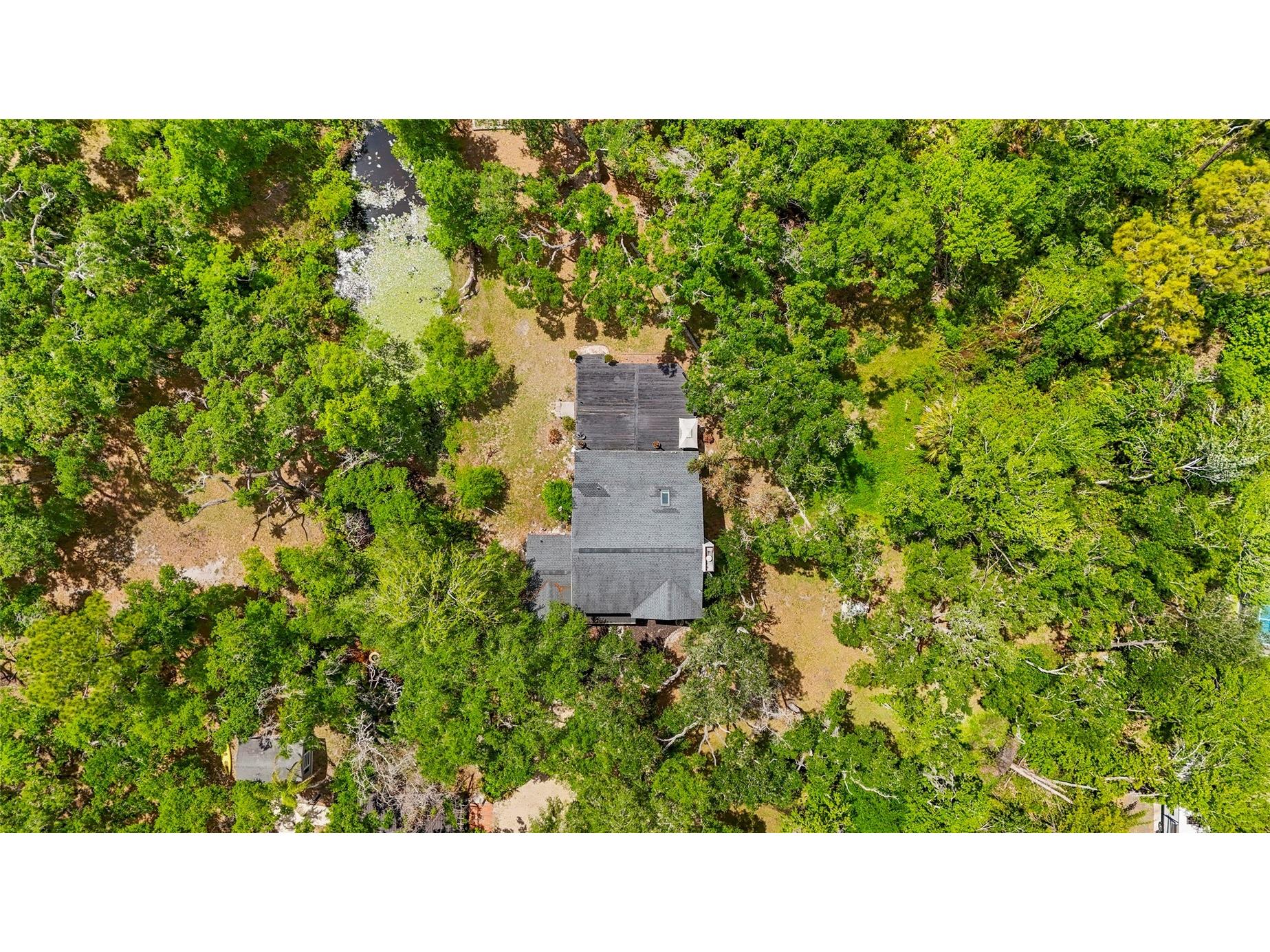 25640 State Road 70 E Myakka City FL 34251 A4688678 image16