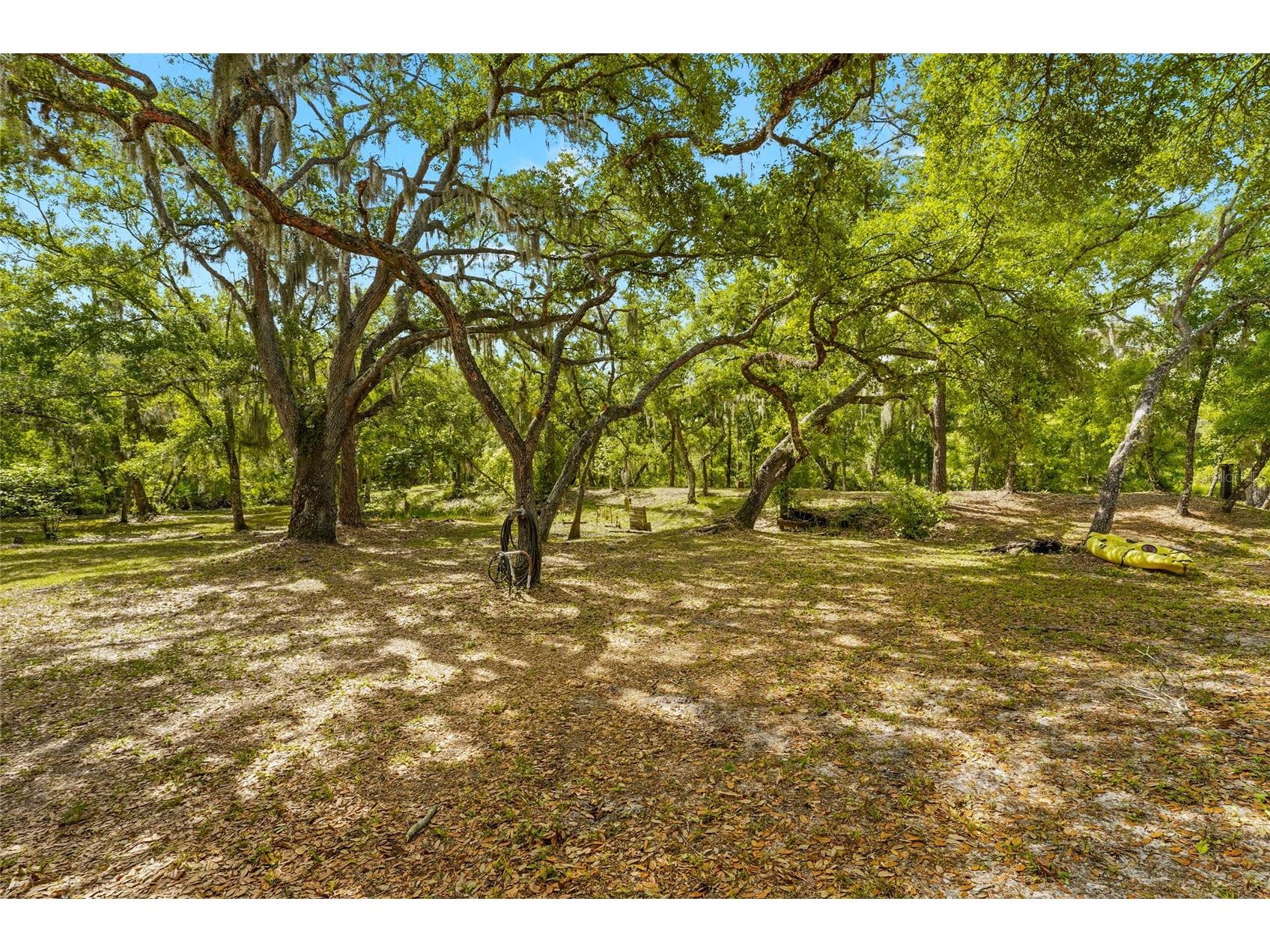 25640 State Road 70 E Myakka City FL 34251 A4688678 image55