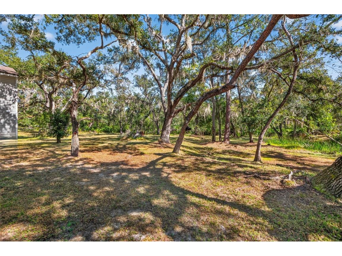 25640 State Road 70 E Myakka City FL 34251 TB8445905 image45