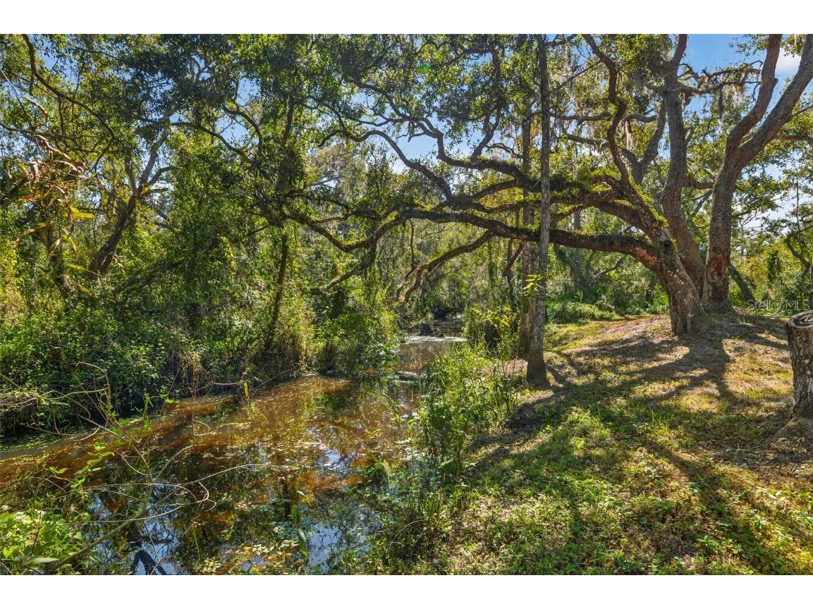 25640 State Road 70 E Myakka City FL 34251 TB8445905 image51