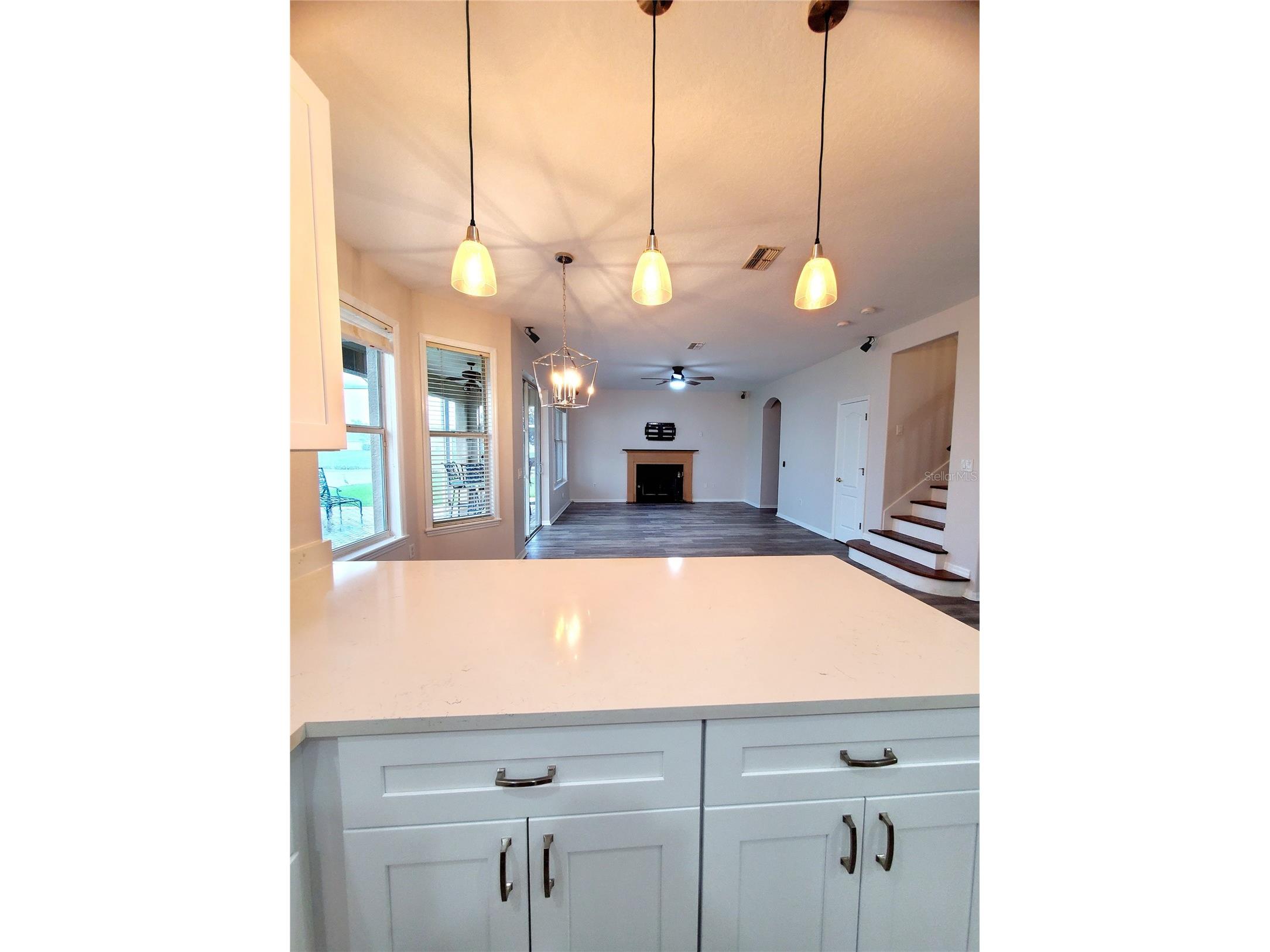 25644 Frith Street Land O Lakes FL 34639 TB8517462 image12